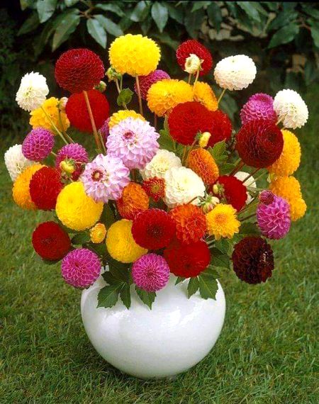 For  my  best  frnd
