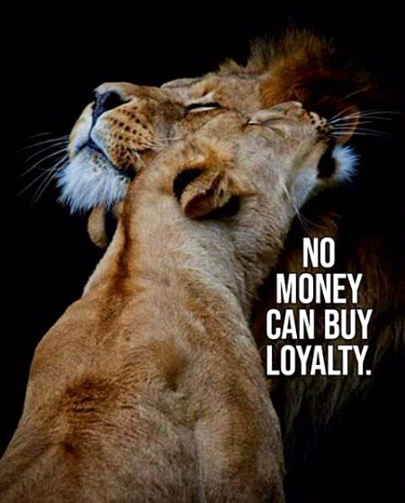 Absolutely💝