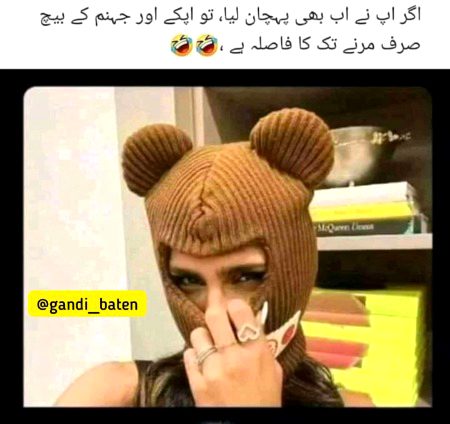 Memes & Satire image