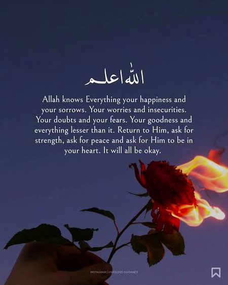 Islamic Quotes image