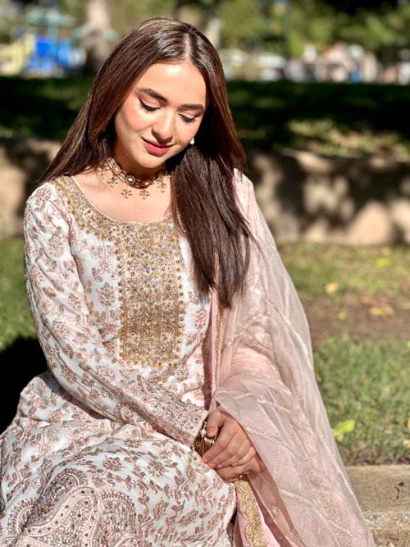 Pakistani Celebs image