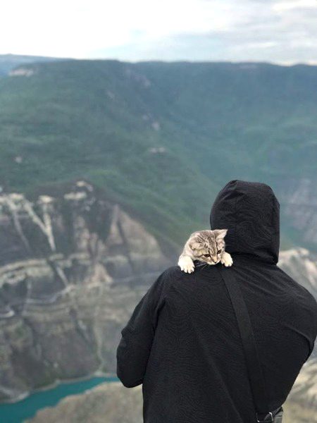 Beautiful Nature image