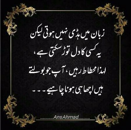 Absolutely💝