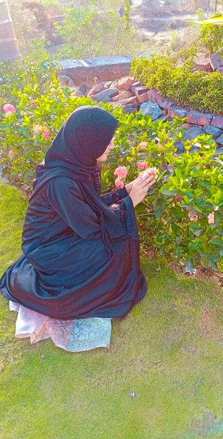 Beautiful Nature image