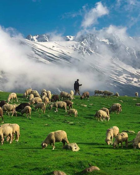 Beautiful Nature image