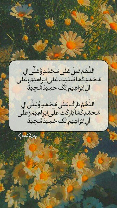 Islamic Quotes image