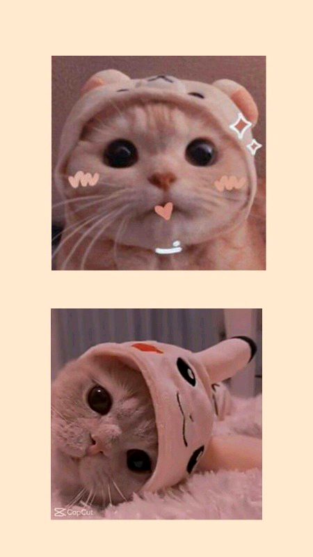 Beautiful Nature image