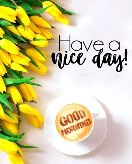 Asslam E Alikum ❤️