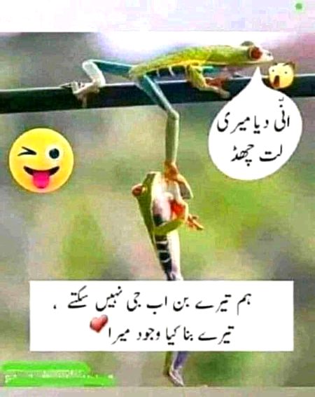 Memes & Satire image