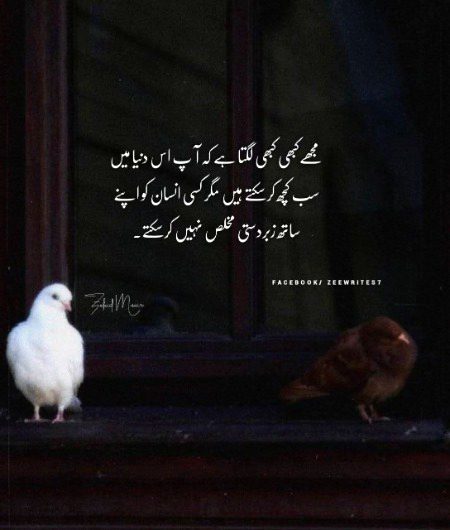 Life Advice image
