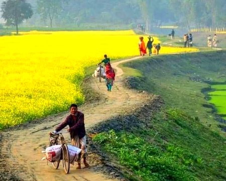 Beautiful Nature image