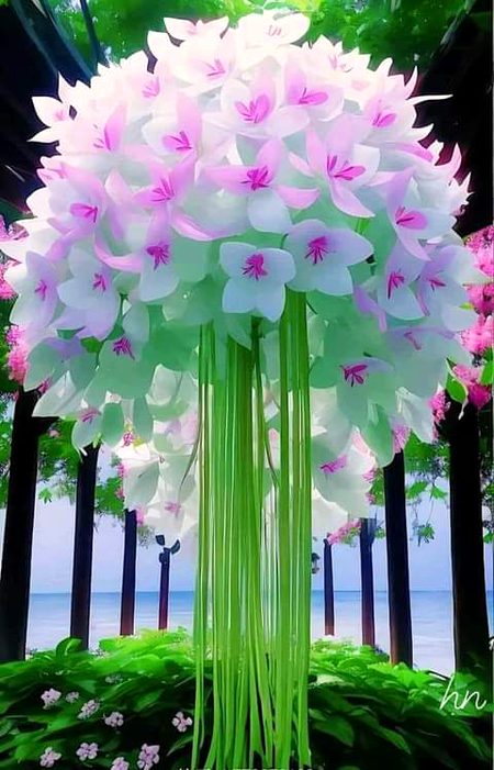 Beautiful Nature image