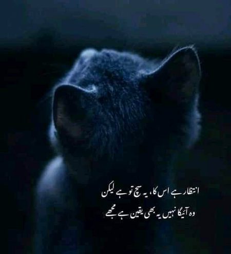 I know