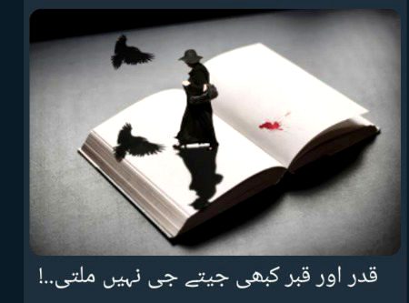 : کرنے گئے تھے اس سے تغافل کا ہم گلہ کی ایک ہی نگاہ کہ بس خاک ہوگئے۔