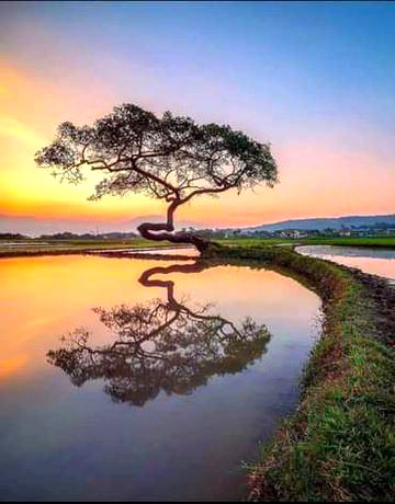 Beautiful Nature image