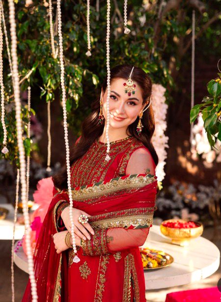 Pakistani Celebs image