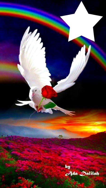 Beautiful Nature image