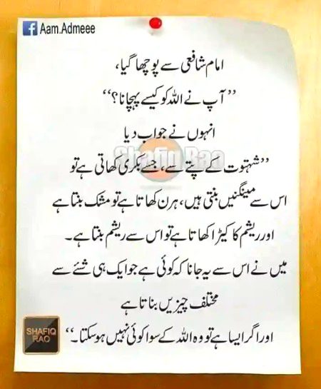 Islamic Quotes image