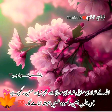 Islamic Quotes image