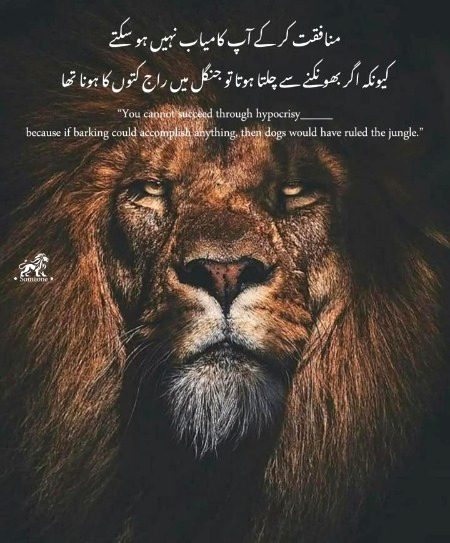 Attitude Quotes image