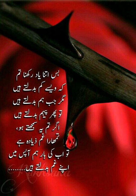 Chalo Saanaam ❣️❣️