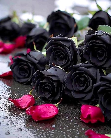 پلکوں کی منڈیروں پے اُتر آتے ہیں چُپ چَاپ
 !!!..غَم ایسے پرندے ہیں جو پَالے نہیں  جاتے 
جب تھا تو بہت پُختہ تھا اِک شَخص سے رِشتہ
  ٹُوٹَا ہے تو اب ٹکڑے سَنبھالے نہیں جاتے 
کُچھ لوگوں کی ہر دُور میں پڑتی ہے ضرُورت 
کُچھ لوگ کبھی دِل سے نکالے نہیں جاتے...