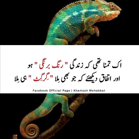 ہر بات جانتے ہوئے دل مانتا نہ تھا
ہم جانے اعتبار کے کس مرحلے میں تھے