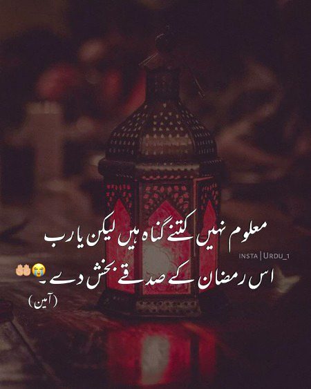 Motivational Quotes image