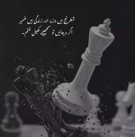 Life Advice image
