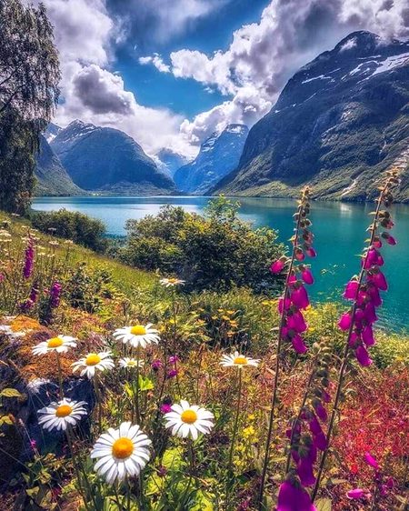 Beautiful Nature image
