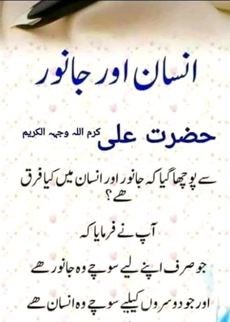 🍁Zoq_Shab🍁