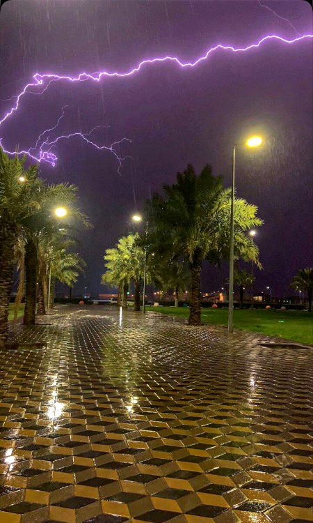 Beautiful Nature image