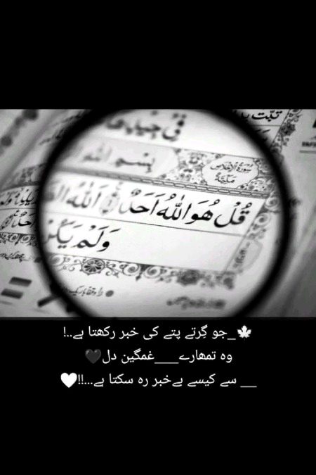 Islamic Quotes image