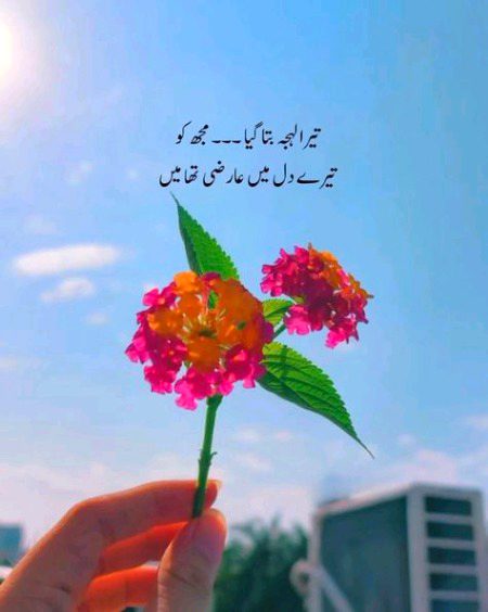 Sad Poetry image
