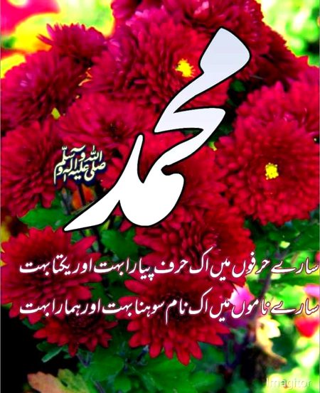 Islamic Quotes image