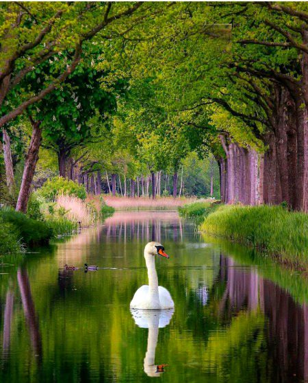 Beautiful Nature image
