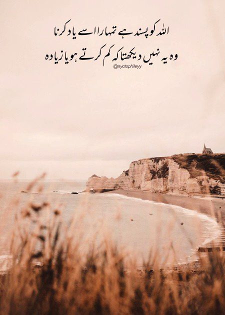 Islamic Quotes image