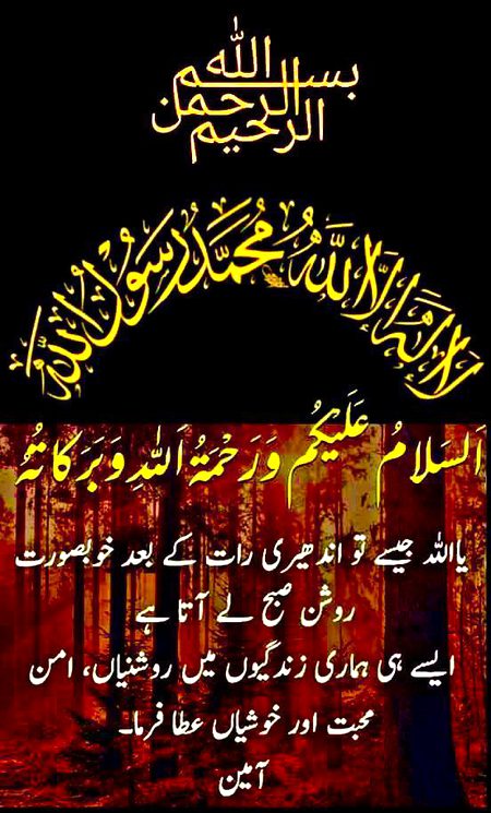 Islamic Quotes image