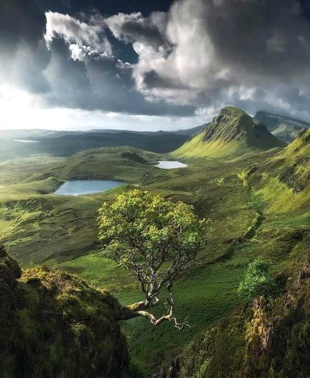 Beautiful Nature image