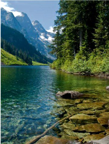 Beautiful Nature image