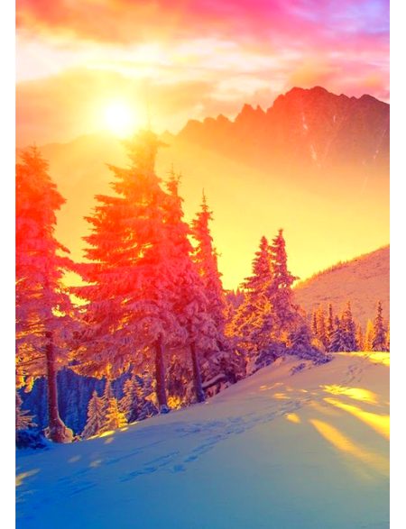 Beautiful Nature image