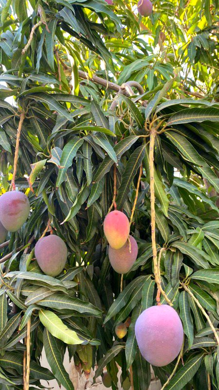 Beautiful Nature image