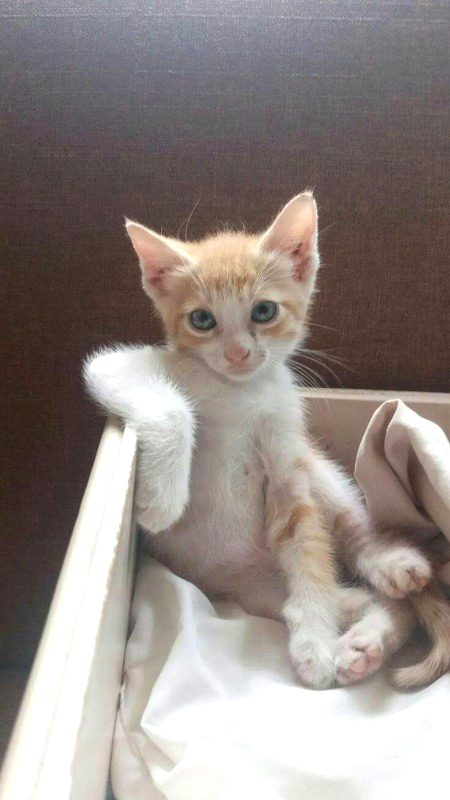 Beautiful Nature image