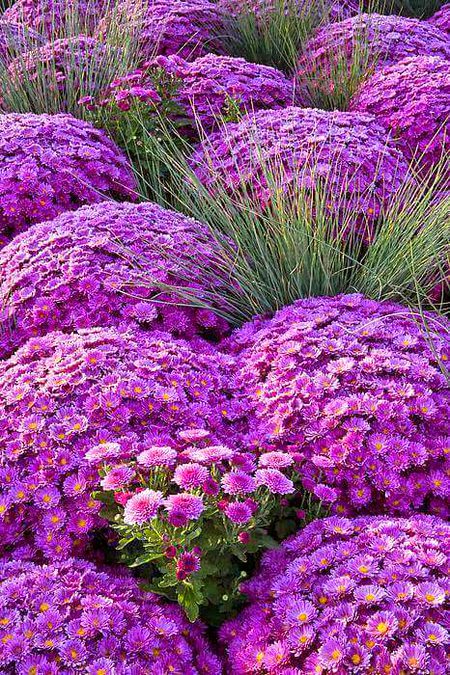 Beautiful Nature image