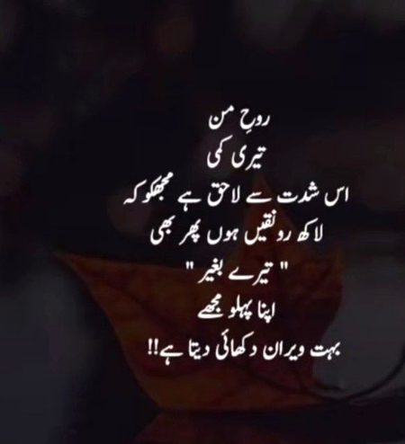 Saanaam ❣️❣️