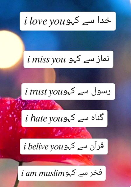 Islamic Quotes image