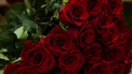 Kindly koi Category waly on hen to Category dein...