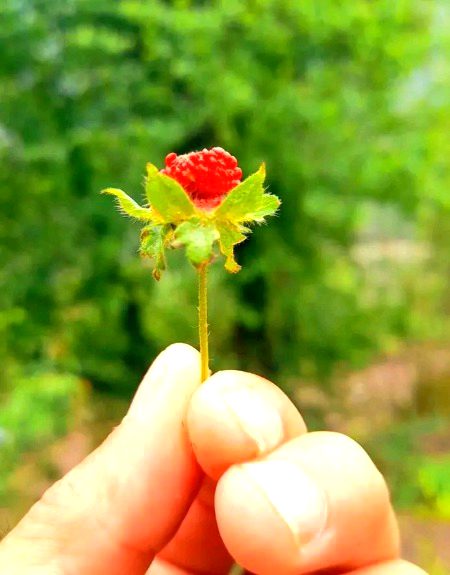 عظیم لوگ تھے ٹوٹے تو اِک وقار کے ساتھ
کِسی سے کچھ نہ کہا بس اُداس رہنے لگے