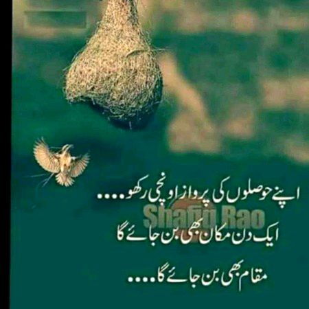 Motivational Quotes image