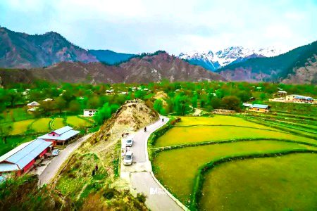 Beautiful Nature image